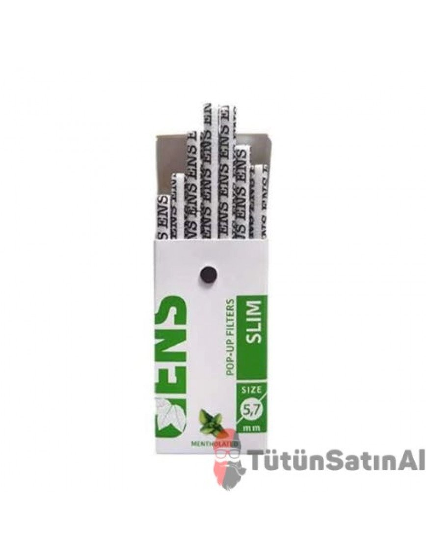 ENS Slim 5.7mm Pop-Up Mentollü 120'li Mıknatıslı Kapak ENS Slim 5.7mm Pop-Up Mentollü 120'li Mıknatıslı Kapak