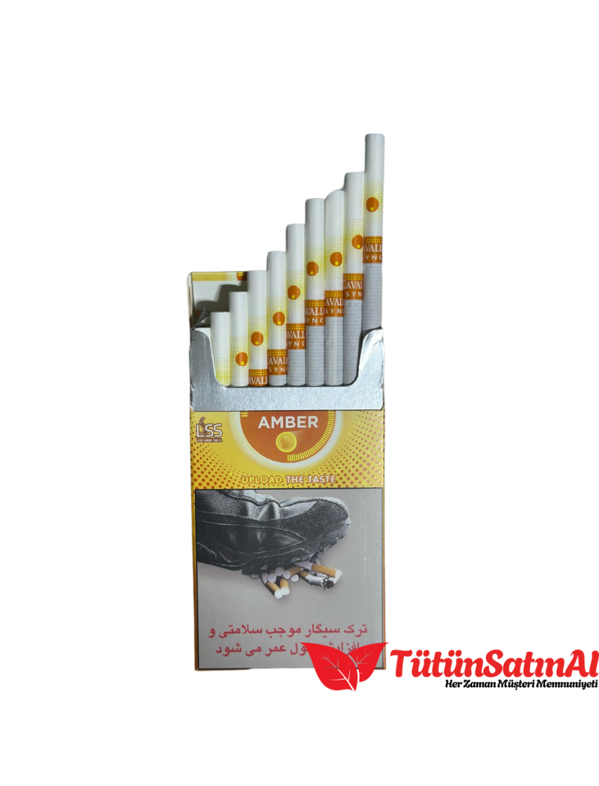 Cavallo Sync amber Cavallo Sync amber