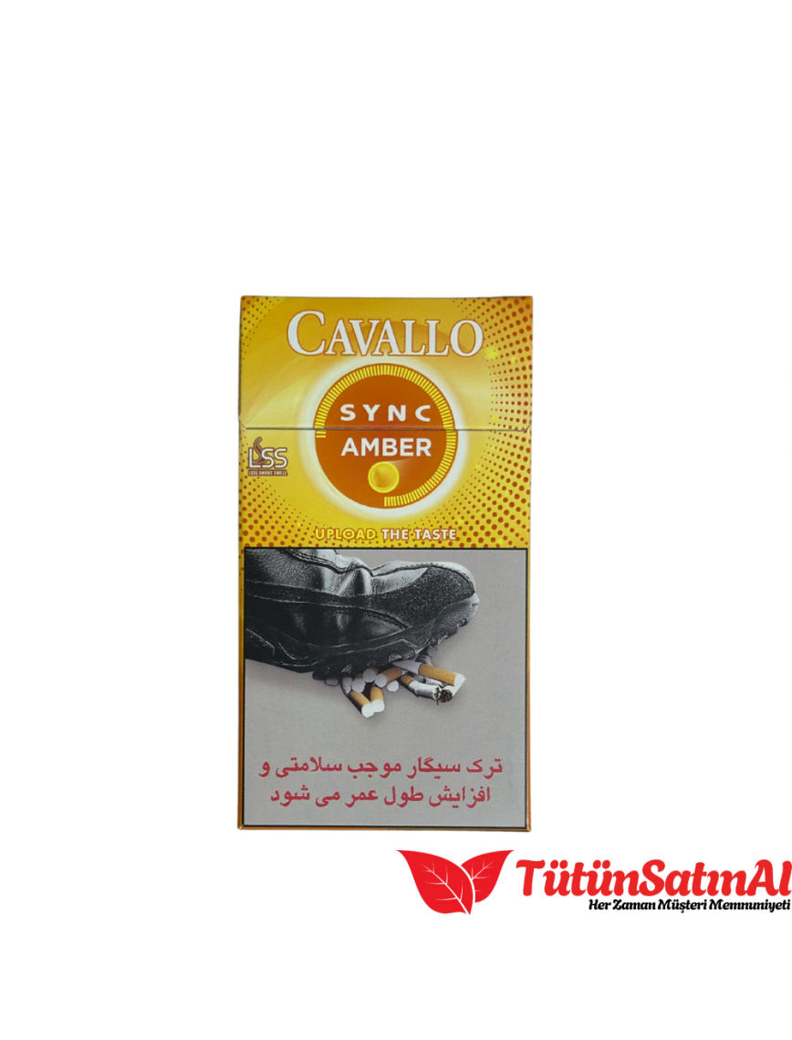 Cavallo Sync amber Cavallo Sync amber