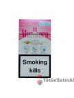 Marlboro Vista Foresst Mist Marlboro Vista Foresst Mist