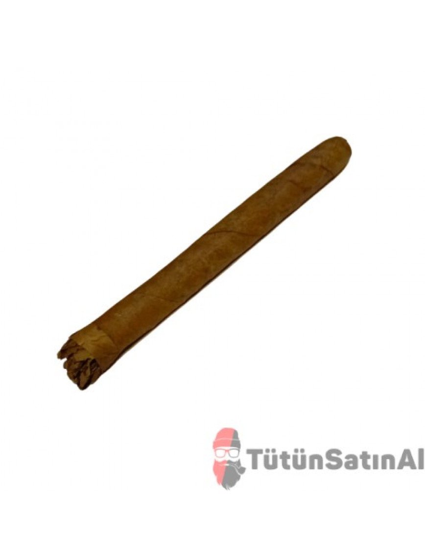 La Paz Wild Primeros 10 Cigaros Puro La Paz Wild Primeros 10 Cigaros Puro - Puro Sitesi